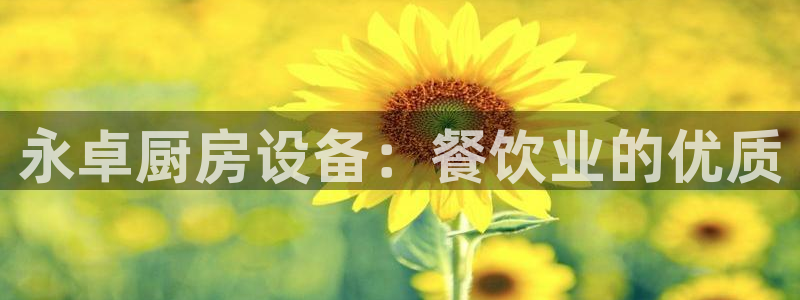 尊龙官网免费下载：永卓厨房设备：餐饮业的优质