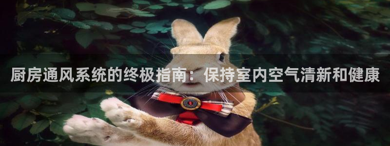 尊龙人生就是博ag：厨房通风系统的终极指南：保持室内空气清新