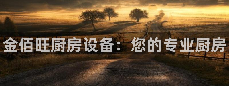 尊龙新版人生就是博!：金佰旺厨房设备：您的专业厨房