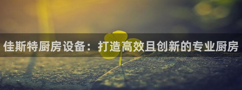 K66凯时国际平台官网：佳斯特厨房设备：打造高效且创新的专业
