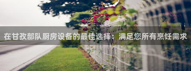 尊龙ag旗舰厅登陆：在甘孜部队厨房设备的最佳选择：满足您所有