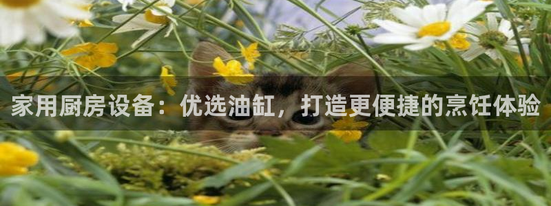 尊龙z6网址：家用厨房设备：优选油缸，打造更便捷的烹饪体验