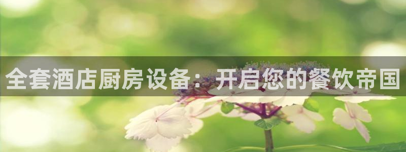 尊龙凯时提款冻卡吗：全套酒店厨房设备：开启您的餐饮帝国