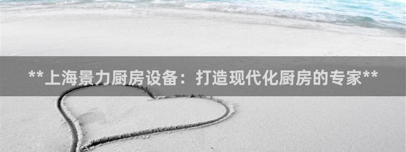 尊龙ag旗舰厅官网·(中国)官方入口：**上海景力厨房设备：