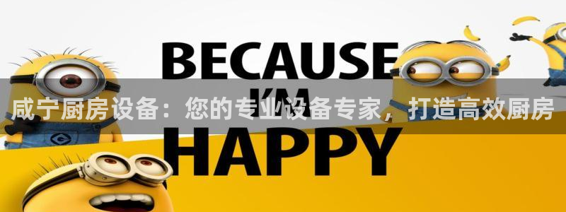 尊龙app下载官网：咸宁厨房设备：您的专业设备专家，打造高效
