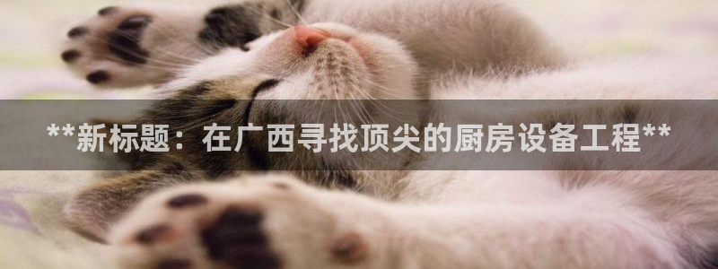 尊龙专访视频：**新标题：在广西寻找顶尖的厨房设备工程**