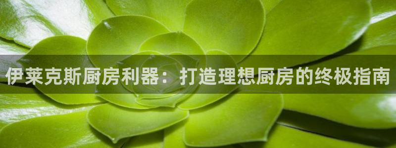 ag尊龙凯时官网：伊莱克斯厨房利器：打造理想厨房的终极指南