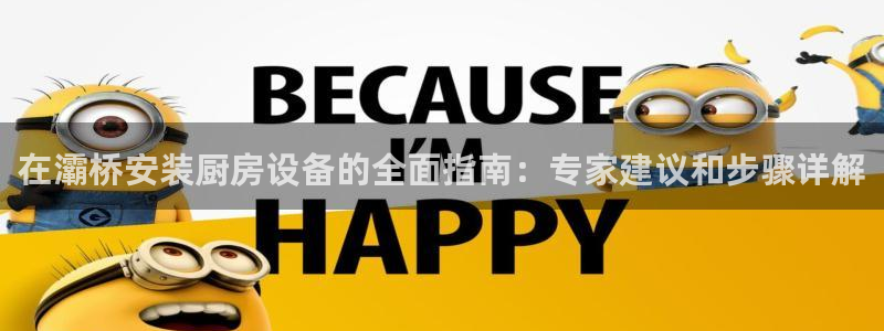 尊龙官网免费下载安卓：在灞桥安装厨房设备的全面指南：专家建议