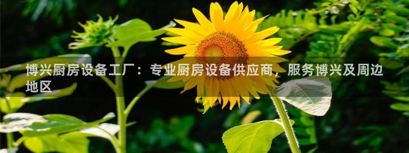 凯时官网手机版下载：博兴厨房设备工厂：专业厨房设备供应商，服