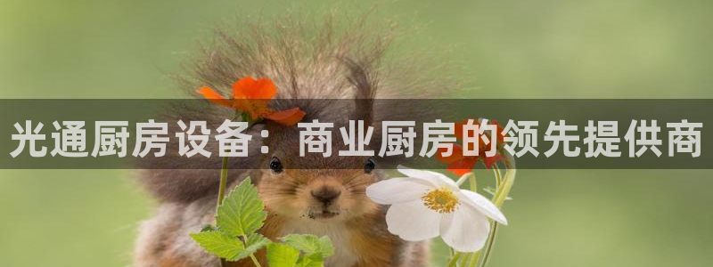 尊龙官网免费下载安装：光通厨房设备：商业厨房的领先提供商