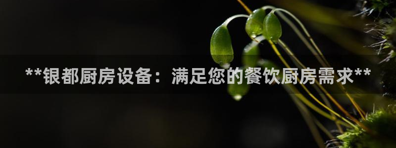 尊龙最新版：**银都厨房设备：满足您的餐饮厨房需求**