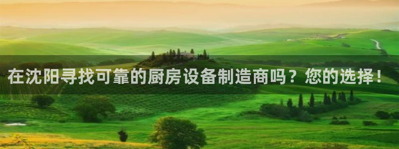 尊龙下载推荐网站：在沈阳寻找可靠的厨房设备制造商吗？您的选择