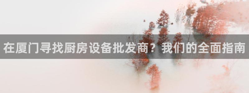尊龙ag旗舰厅登录 租车app下载：在厦门寻找厨房设备批发商