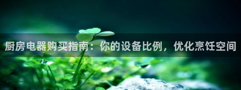 尊龙凯时下载官方正版：厨房电器购买指南：你的设备比例，优化烹
