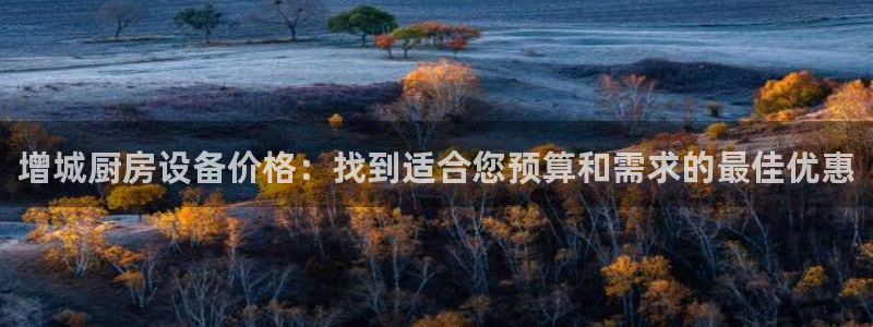 尊龙2016：增城厨房设备价格：找到适合您预算和需求的最佳优