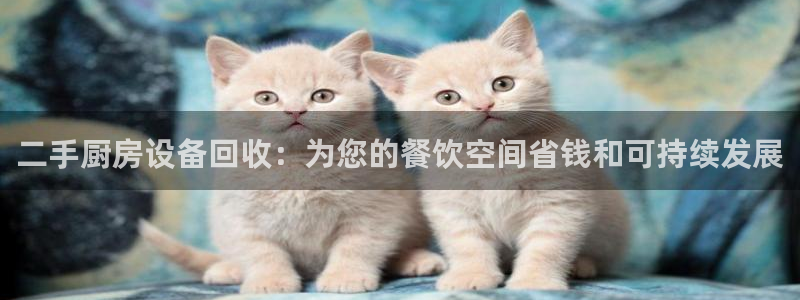 尊龙现金推荐ag发财网：二手厨房设备回收：为您的餐饮空间省钱
