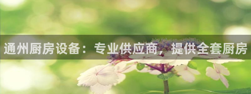 首页尊龙d88国际：通州厨房设备：专业供应商，提供全套厨房
