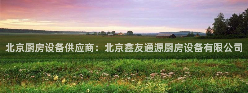 ag尊龙怎么样：北京厨房设备供应商：北京鑫友通源厨房设备有限