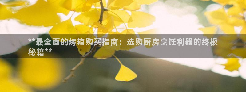 尊龙凯时logo：**最全面的烤箱购买指南：选购厨房烹饪利器