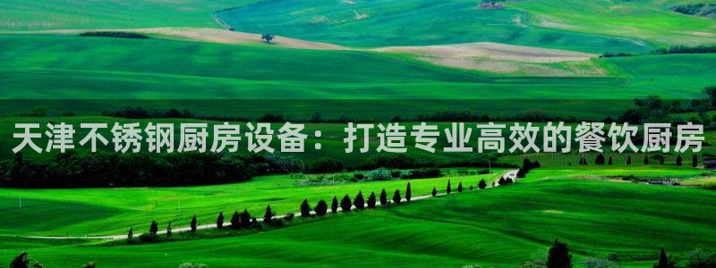 尊龙凯时d3563：天津不锈钢厨房设备：打造专业高效的餐饮厨