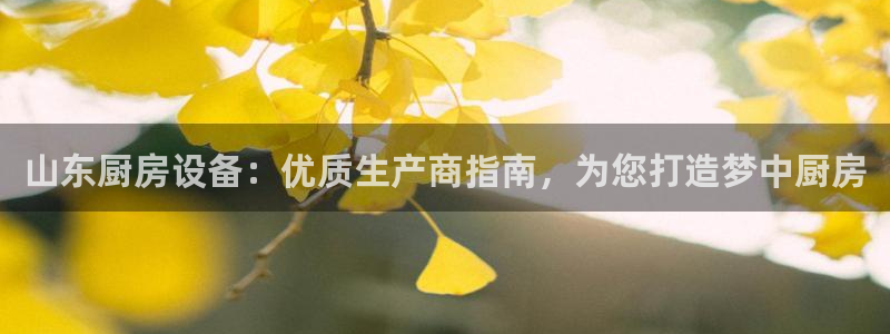 尊龙网址登录官网：山东厨房设备：优质生产商指南，为您打造梦中