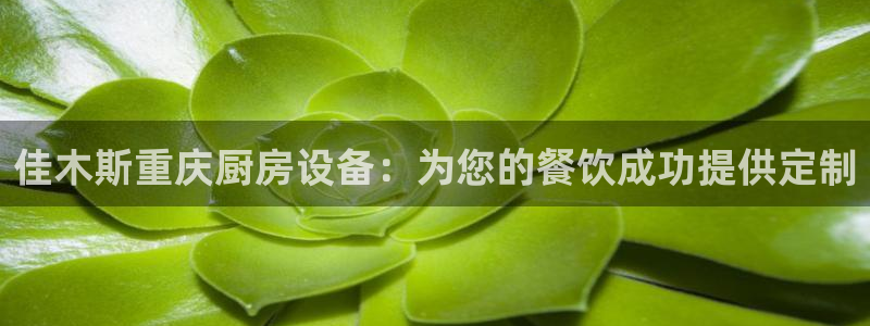 尊龙注册码：佳木斯重庆厨房设备：为您的餐饮成功提供定制