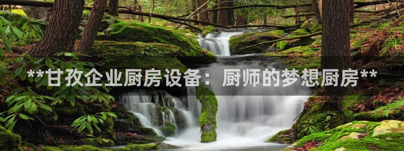 尊龙1003尊龙 - 百度：**甘孜企业厨房设备：厨师的梦想