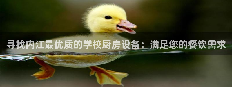 尊龙人生就是博首页入口：寻找内江最优质的学校厨房设备：满足您