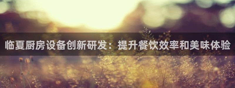 尊龙凯时城游戏官网：临夏厨房设备创新研发：提升餐饮效率和美味