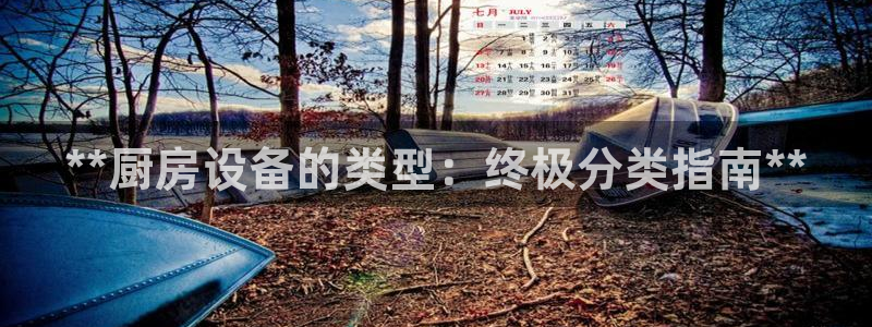 尊龙人生就是博登录：**厨房设备的类型：终极分类指南**