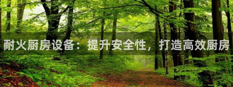 尊龙凯时老板是谁：耐火厨房设备：提升安全性，打造高效厨房
