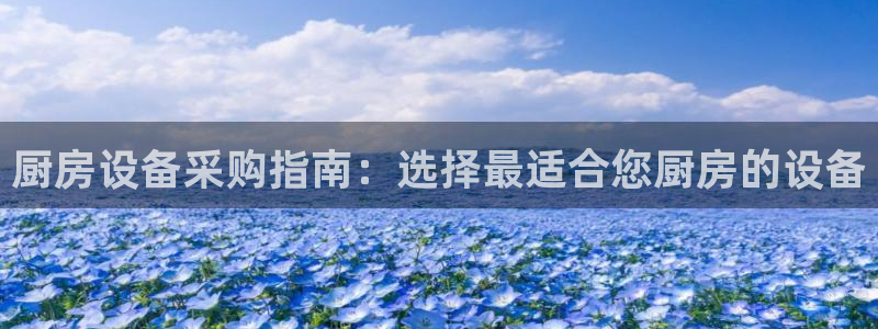 尊龙凯时请求参数不符合：厨房设备采购指南：选择最适合您厨房的