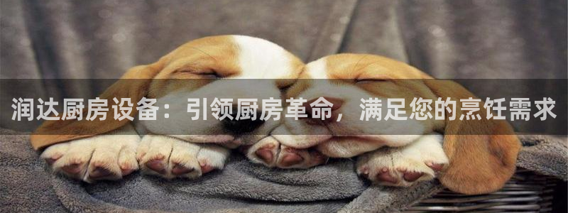 尊龙人生就是博官网登录手机：润达厨房设备：引领厨房革命，满足
