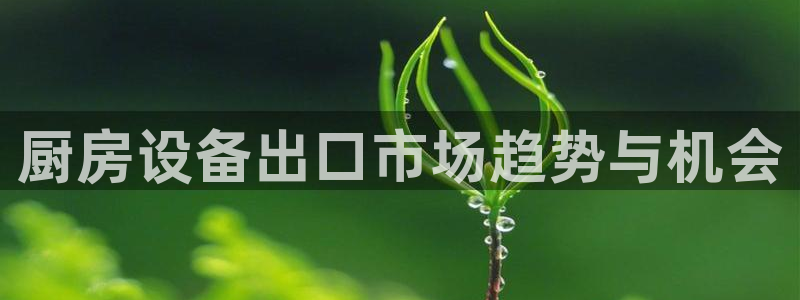 尊龙官方APP下载：厨房设备出口市场趋势与机会