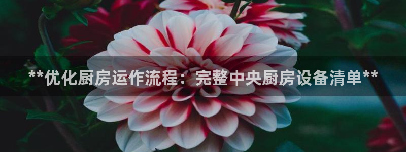 凯时登录首页,凯时K66：**优化厨房运作流程：完整中央厨房