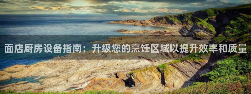 尊龙AG旗舰厅app下载：面店厨房设备指南：升级您的烹饪区域