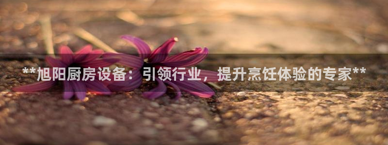 尊龙凯时捕鱼游戏能玩吗：**旭阳厨房设备：引领行业，提升烹饪