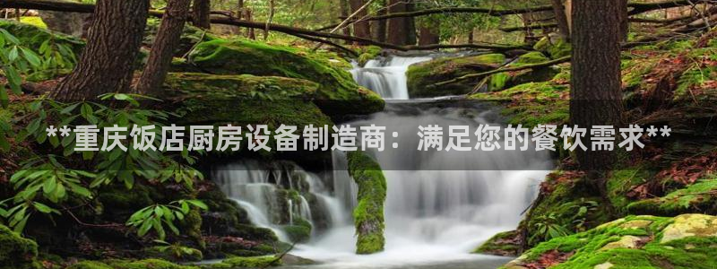 尊龙集团有限公司招聘：**重庆饭店厨房设备制造商：满足您的餐