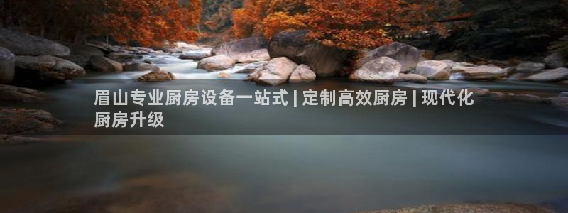 尊龙官方身高：眉山专业厨房设备一站式 | 定制高效厨房 | 