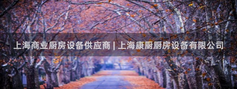 尊龙凯时 人生就是搏：上海商业厨房设备供应商 | 上海康厨厨