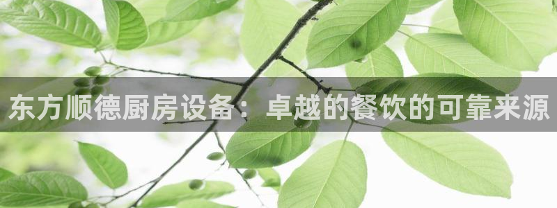 尊龙AG旗舰店：东方顺德厨房设备：卓越的餐饮的可靠来源