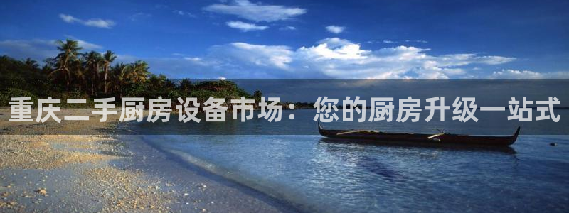 尊龙集团官网：重庆二手厨房设备市场：您的厨房升级一站式