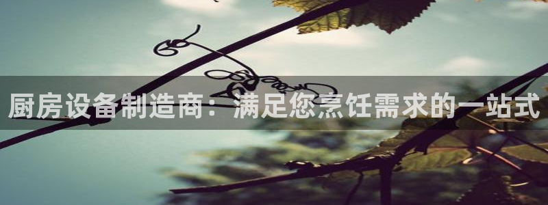 尊龙凯时人生就博官网登录：厨房设备制造商：满足您烹饪需求的一