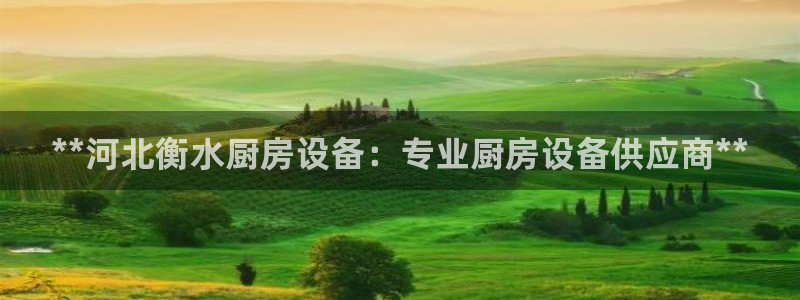 尊龙现在：**河北衡水厨房设备：专业厨房设备供应商**