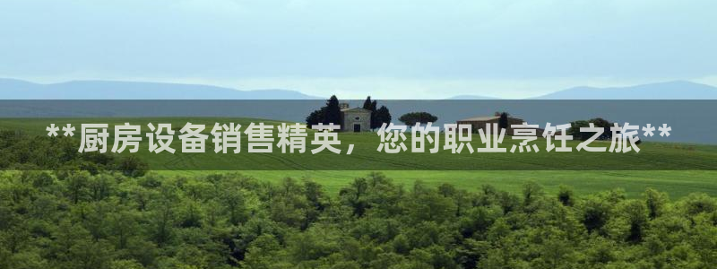 尊龙娱官网赢来就送38：**厨房设备销售精英，您的职业烹饪之