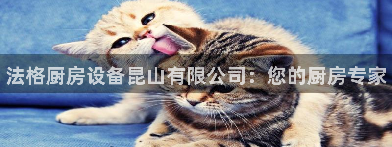 尊龙z6：法格厨房设备昆山有限公司：您的厨房专家