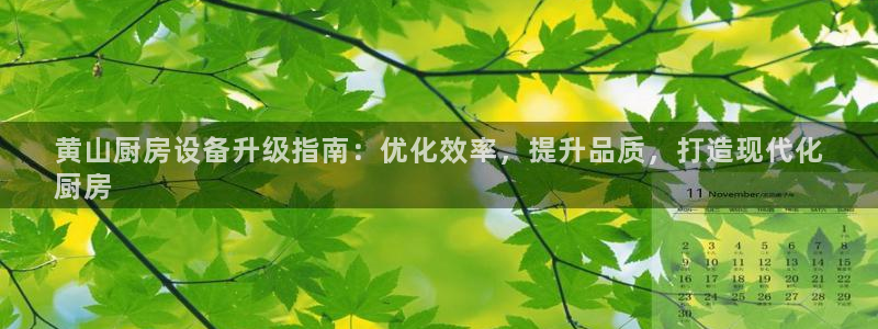 尊龙官网手机版：黄山厨房设备升级指南：优化效率，提升品质，打
