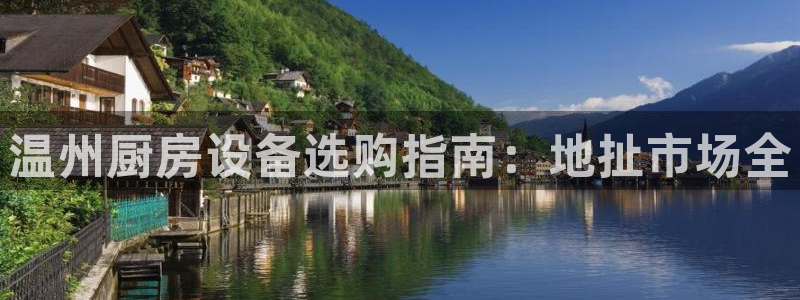 尊龙t600怎么样：温州厨房设备选购指南：地扯市场全