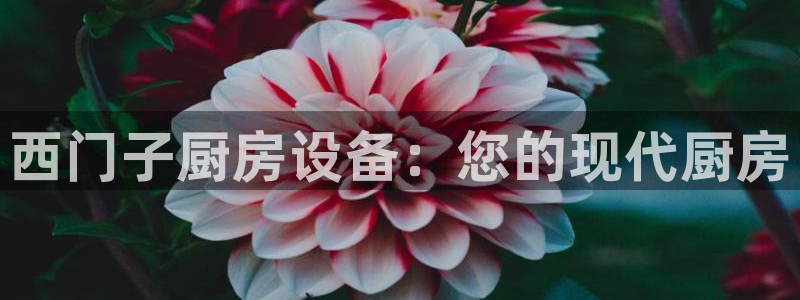 尊龙凯时凯发官网：西门子厨房设备：您的现代厨房