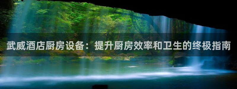 尊龙d88官网新版：武威酒店厨房设备：提升厨房效率和卫生的终